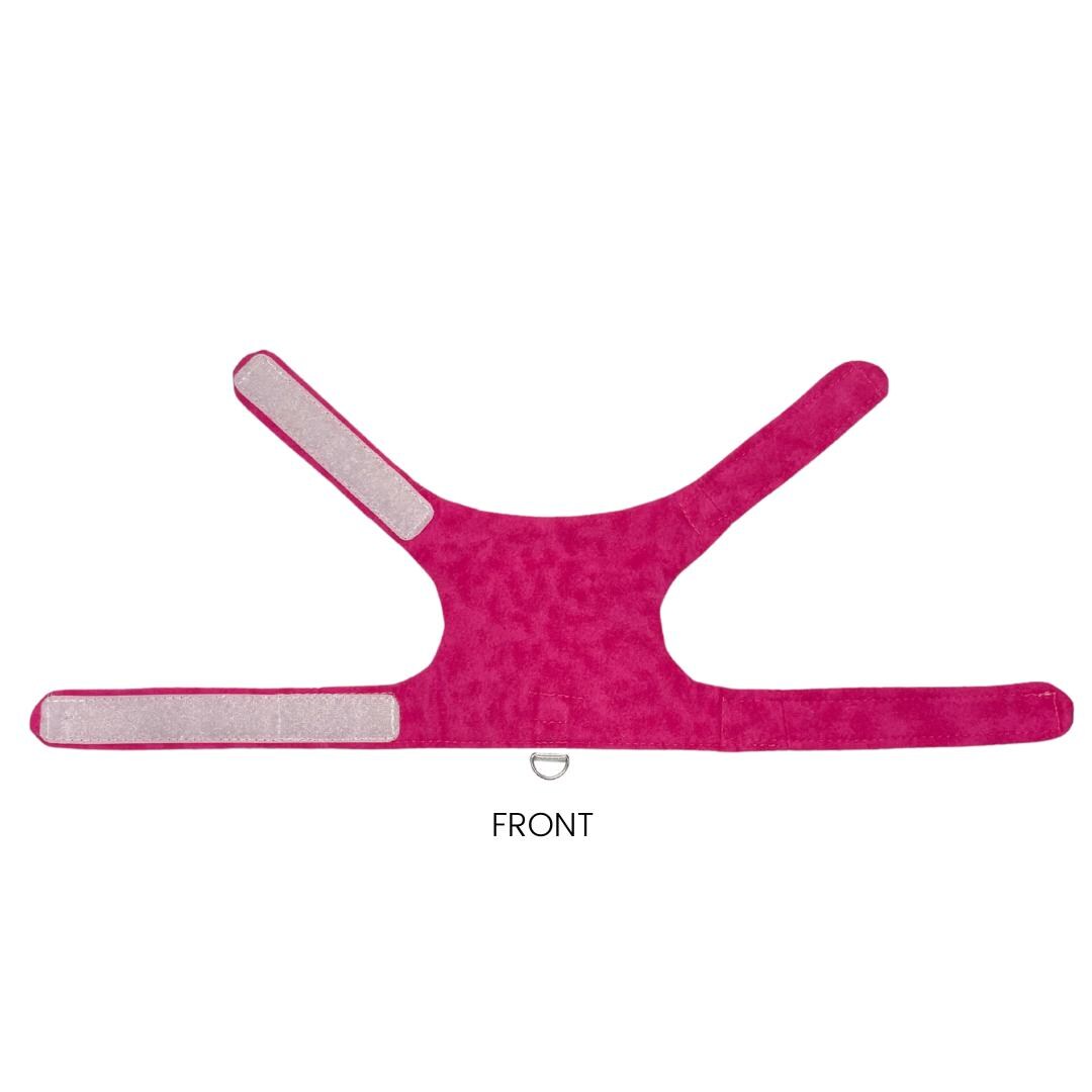 Spring Flannel Kitten Harness