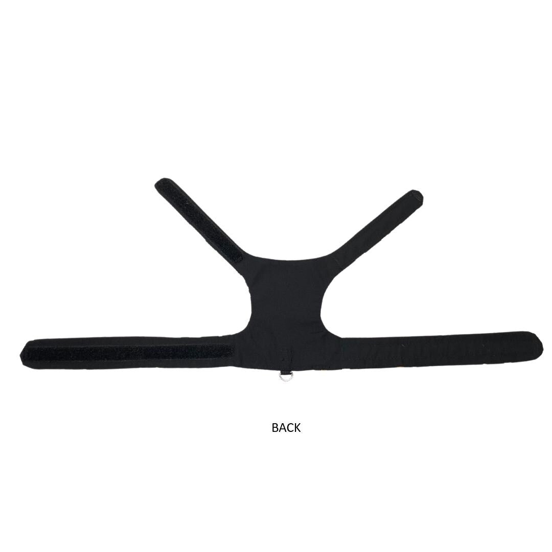 Boo! Cat Harness