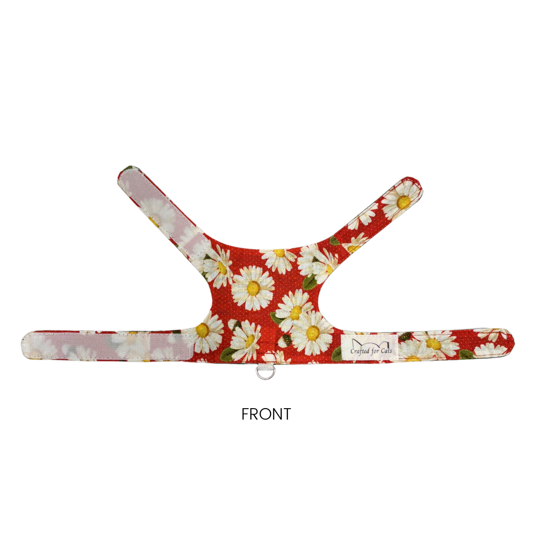 Daisy Kitten Harness