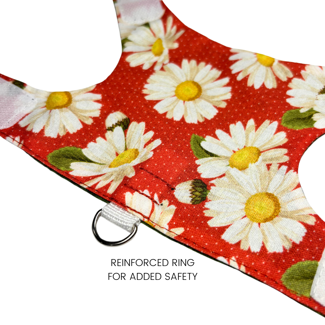 Daisy Kitten Harness