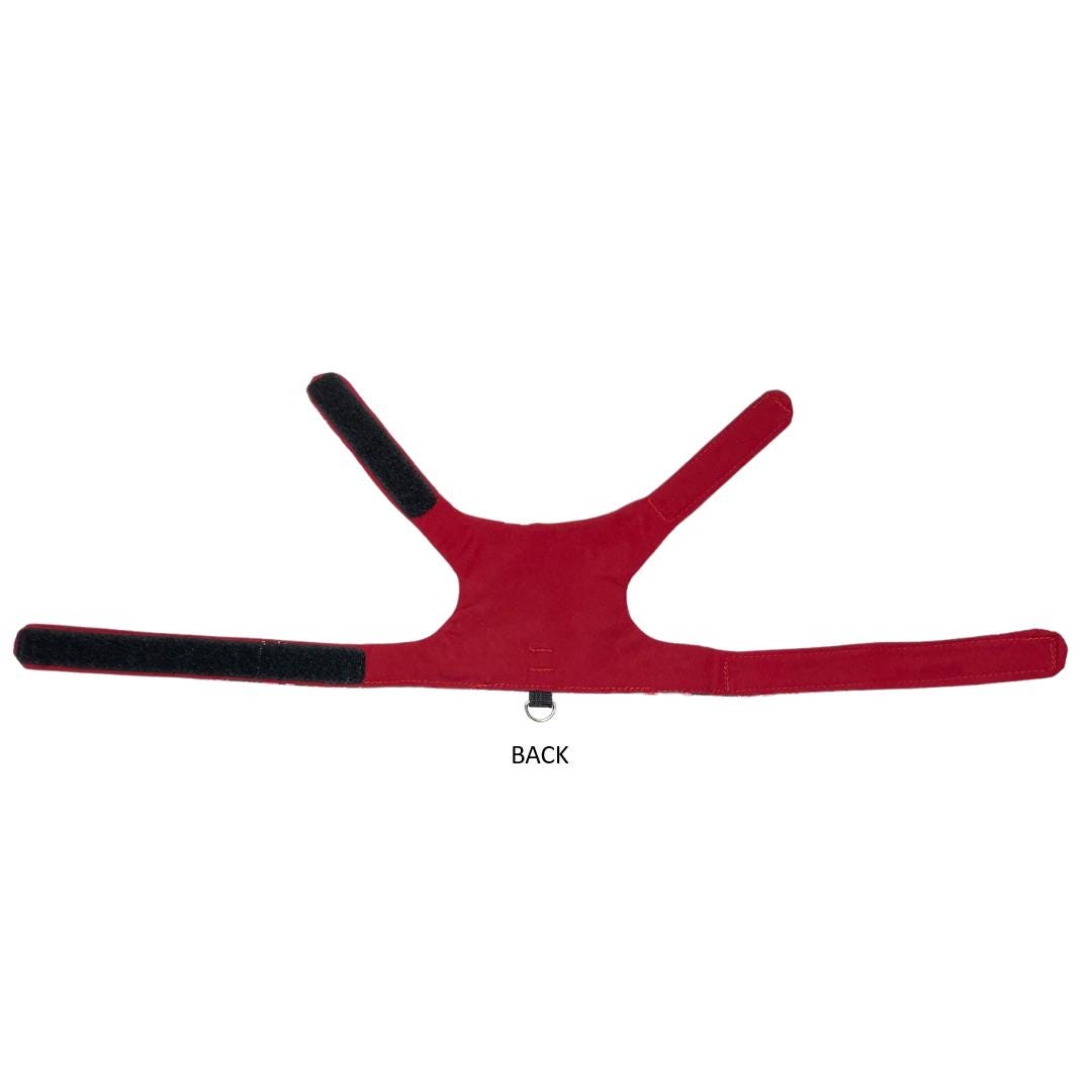 Valentine Hearts Kitten Harness