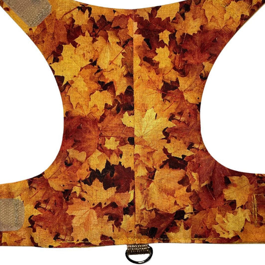 Autumn Leaves Cat Harness