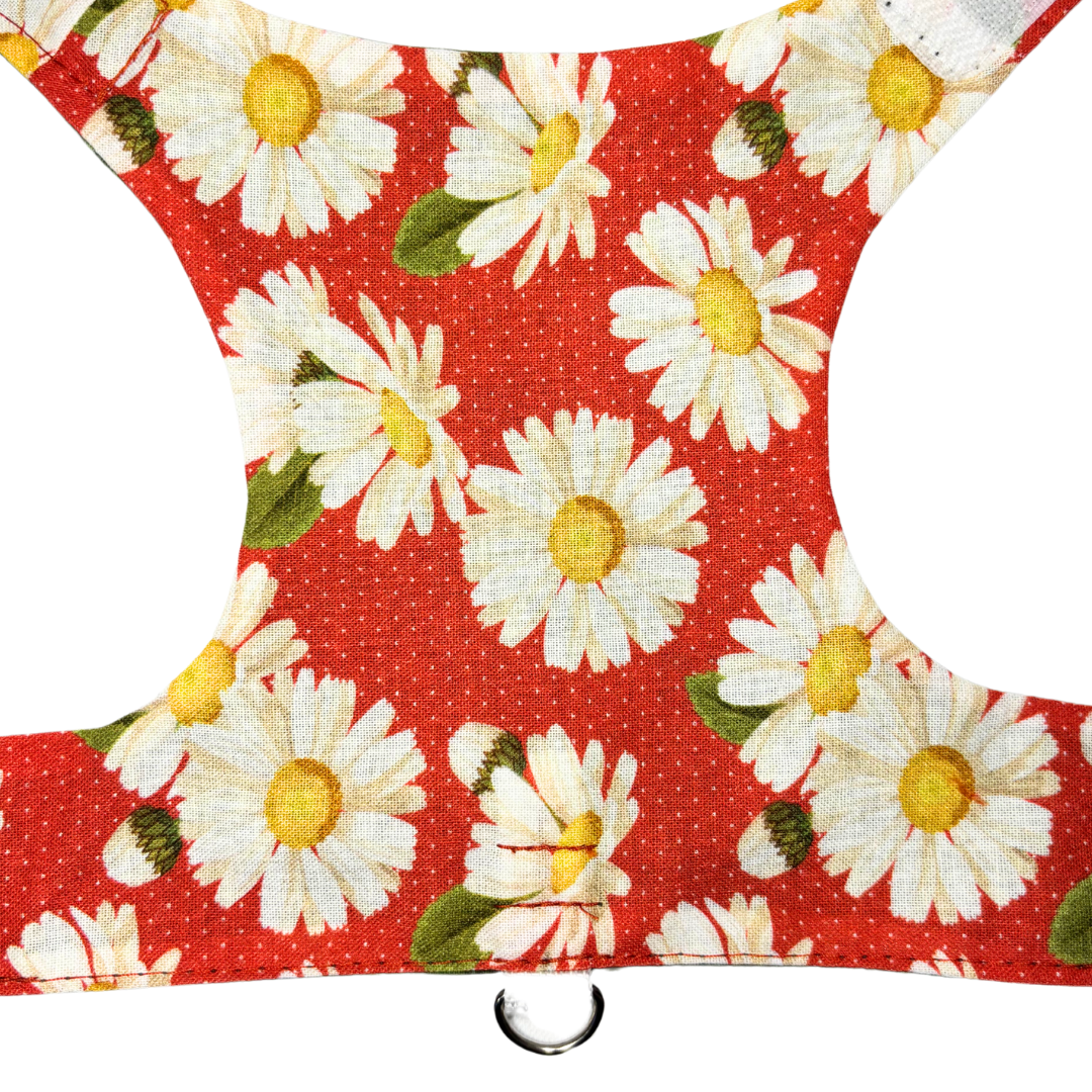 Daisy Cat Harness