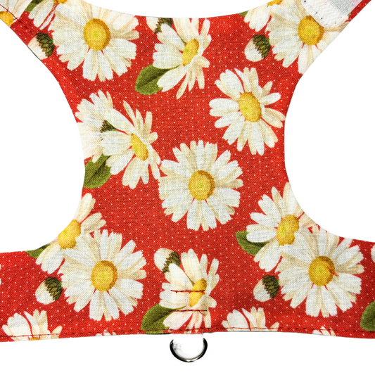 Daisy Cat Harness