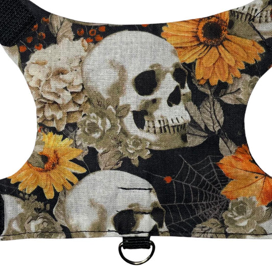 Skulls Kitten Harness