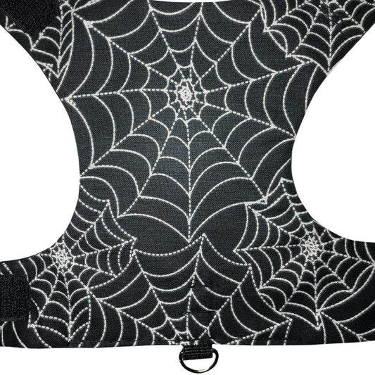 Spider Web Cat Harness