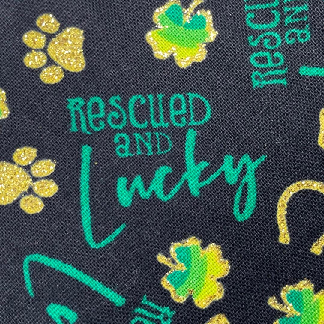 Rescued & Lucky Clip On Cat Bow