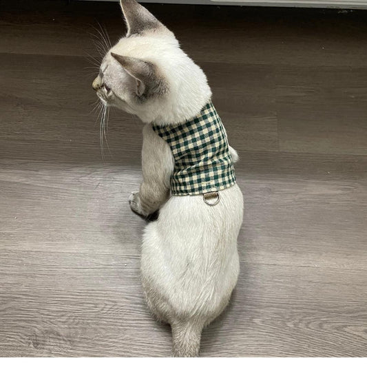 Custom Cat Harness
