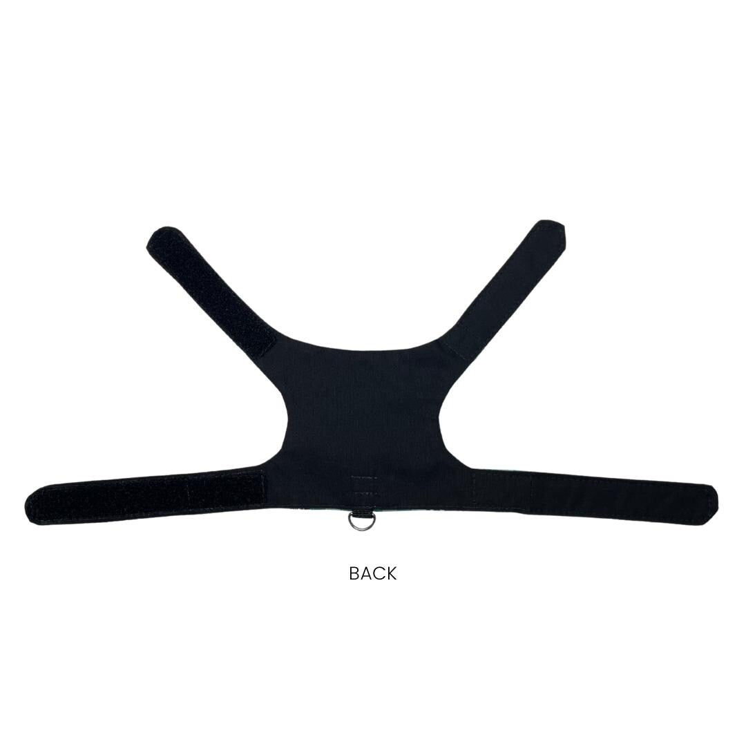 House Crest Kitten Harness