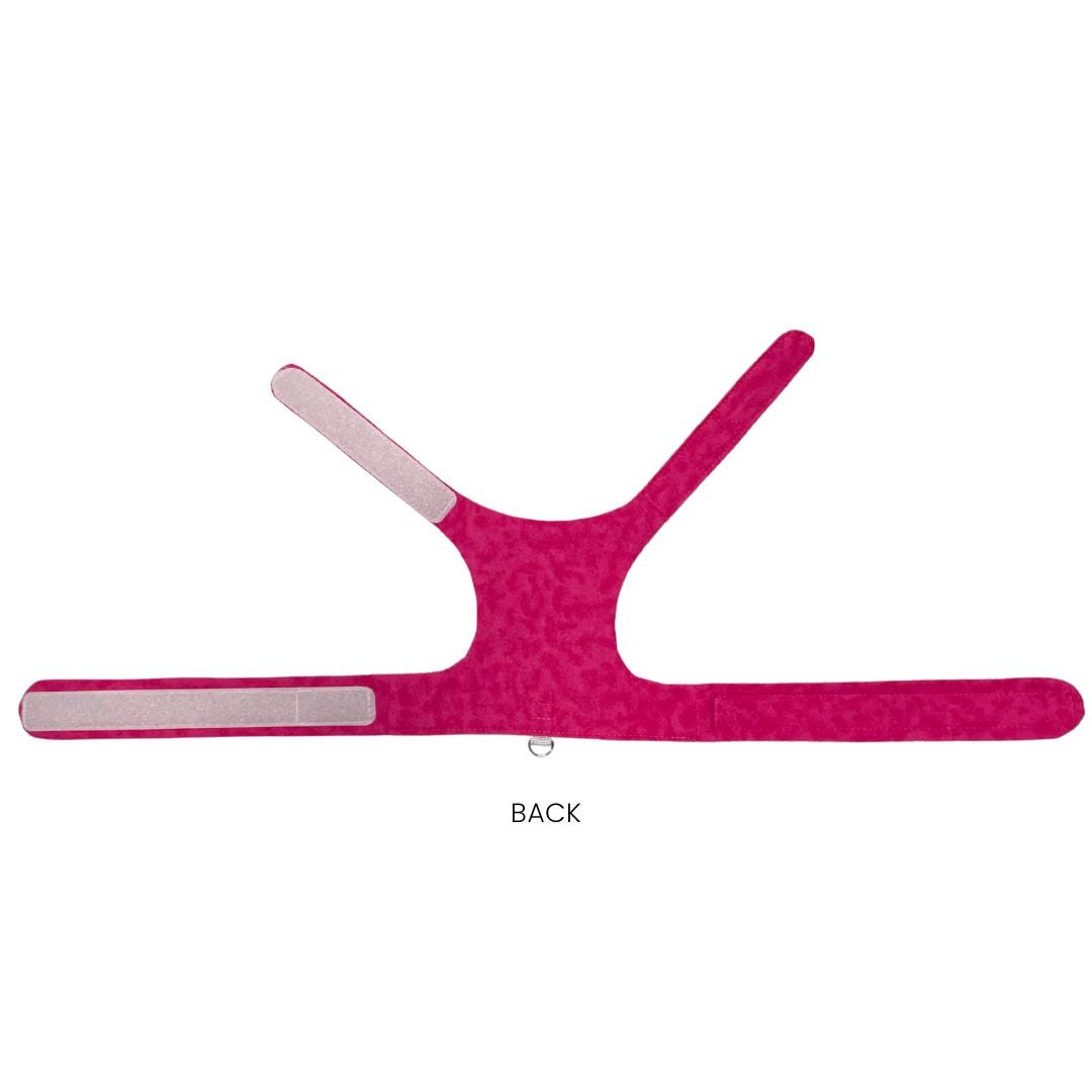 Spring Flannel Cat Harness