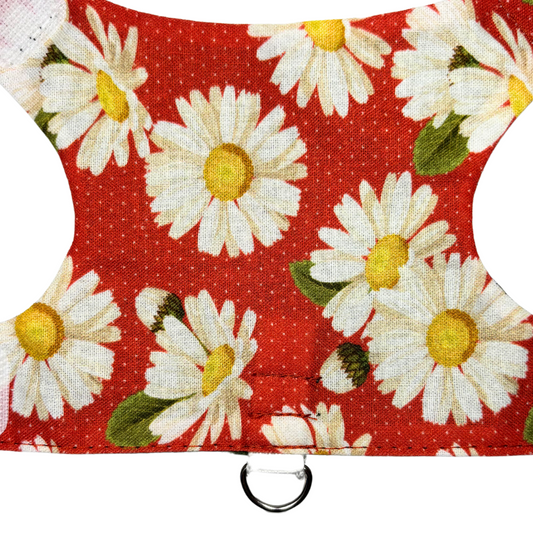 Daisy Kitten Harness
