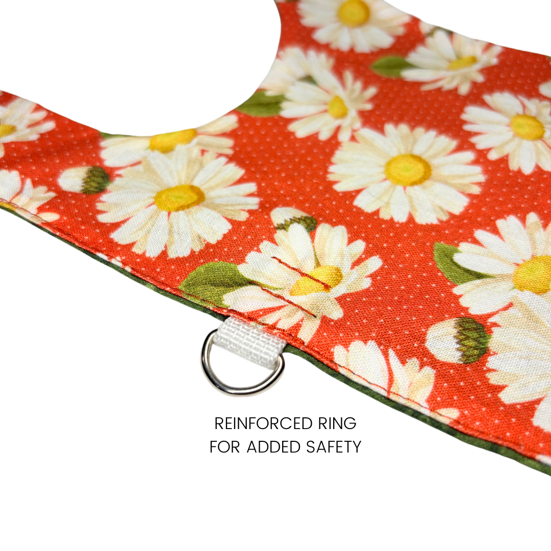 Daisy Cat Harness