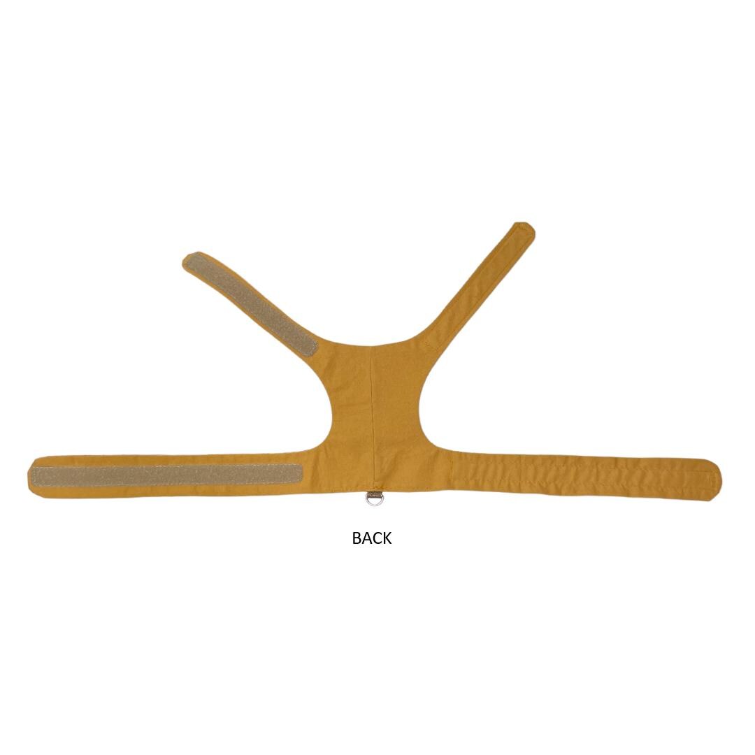 Autumn Leaves Cat Harness