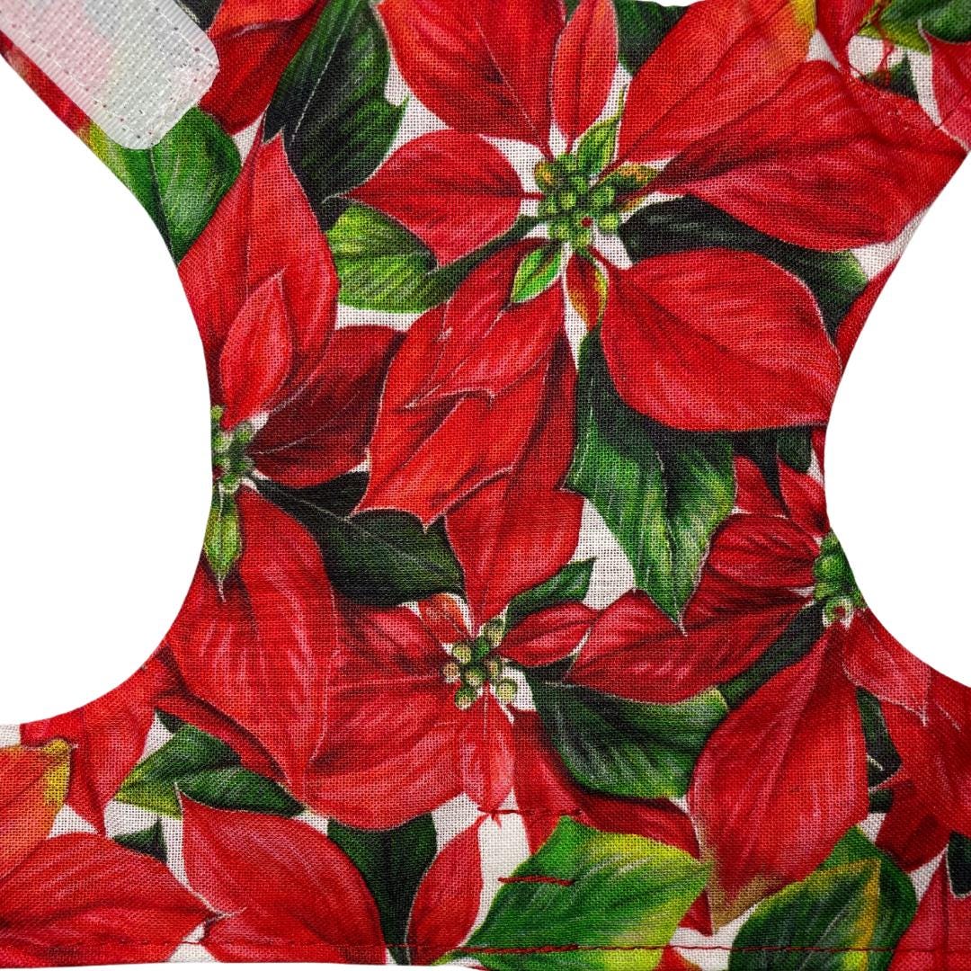 Poinsettia Cat Harness