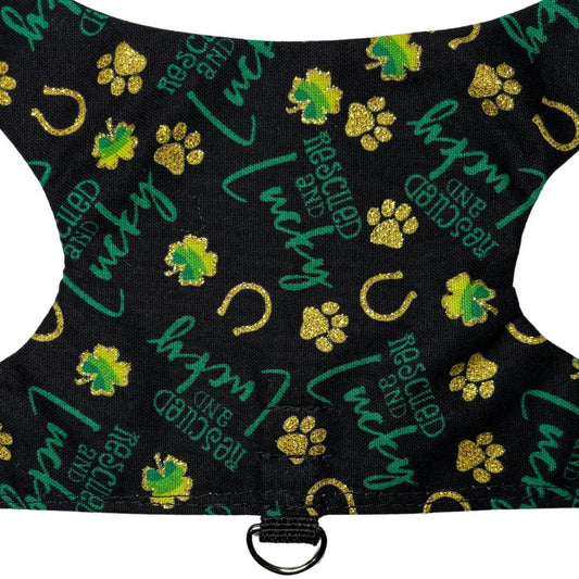 Rescued & Lucky Kitten Harness