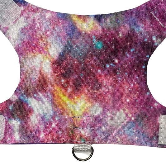 Galaxy Kitten Harness