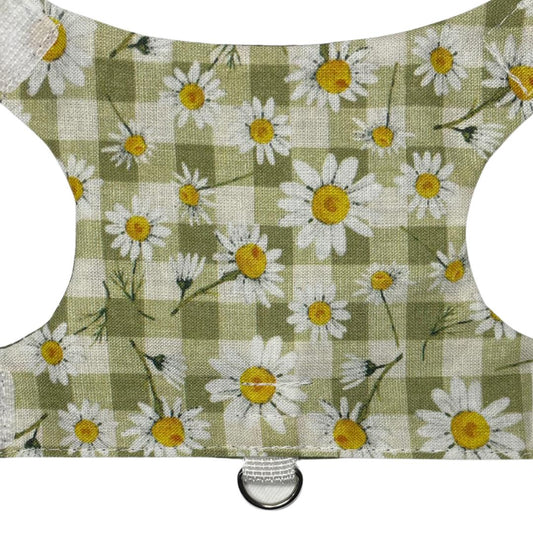 Summer Picnic Kitten Harness